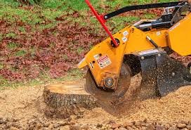 Best Tree Mulching  in Fairmont City, IL