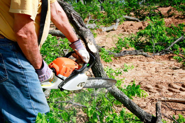 Best Weed Control  in Fairmont City, IL